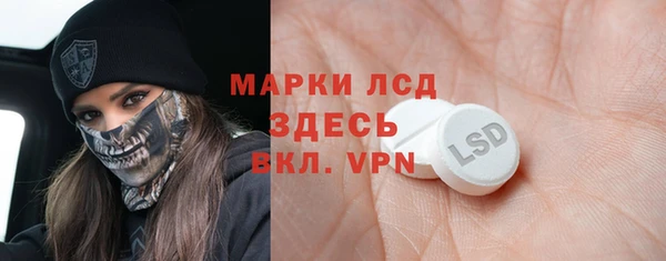 PSILOCYBIN Алзамай