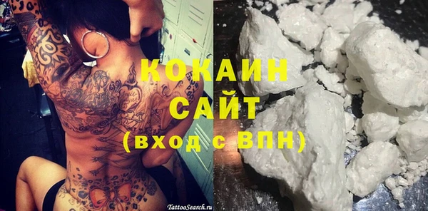 PSILOCYBIN Алзамай