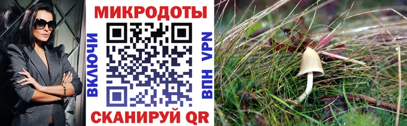купить наркоту  Амурск  Псилоцибиновые грибы мухоморы 